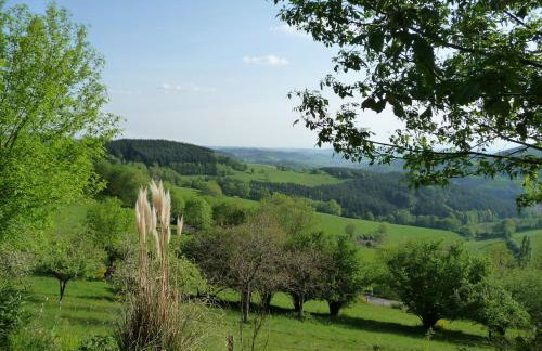 Maison dans le Beaujolais vert - Foto 7