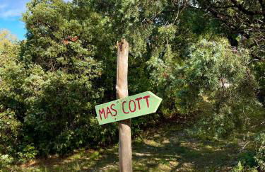 Avignon : Le Mas Cott, le paradis dans la nature - Foto 10