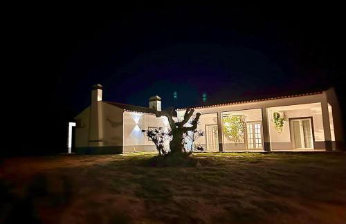 Monte da Lebrinha - Foto 17