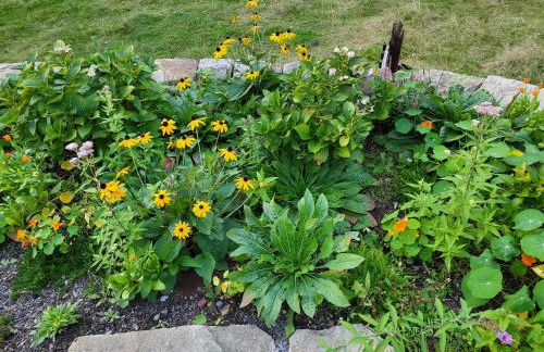 Souterrainwohnung im Grünen - Foto 40