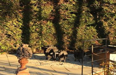 Le Bois De La Cour - Foto 39