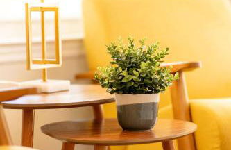 Magical Themed 3BR Townhouse Near the Parks - Foto 21