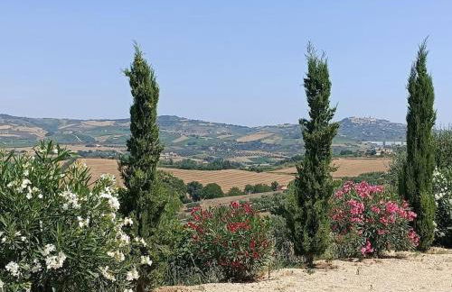 Appartamento Olivo - Foto 14