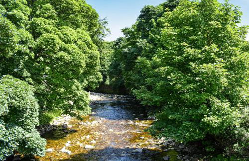 Hare Cottage - Photo 23