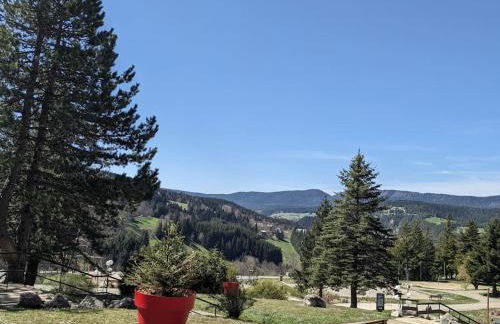 Studio 25m2, 5 pers, 30m des pistes, balcon sud - Foto 16