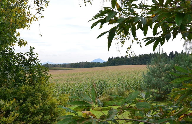 House Full of Charm With Garden,10min From the Pointe du Raz - Foto 76