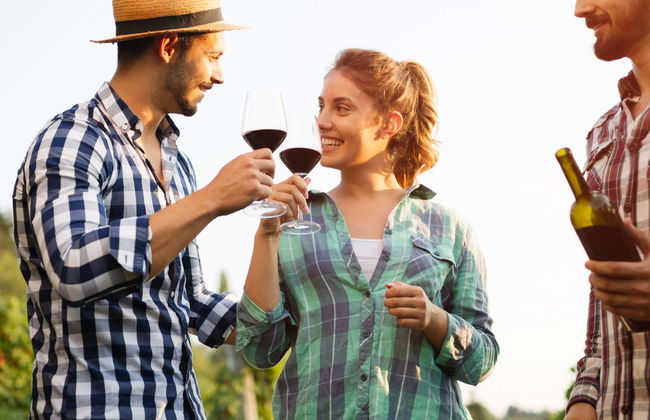 Tour privado de viñedos y bodegas - Foto 1