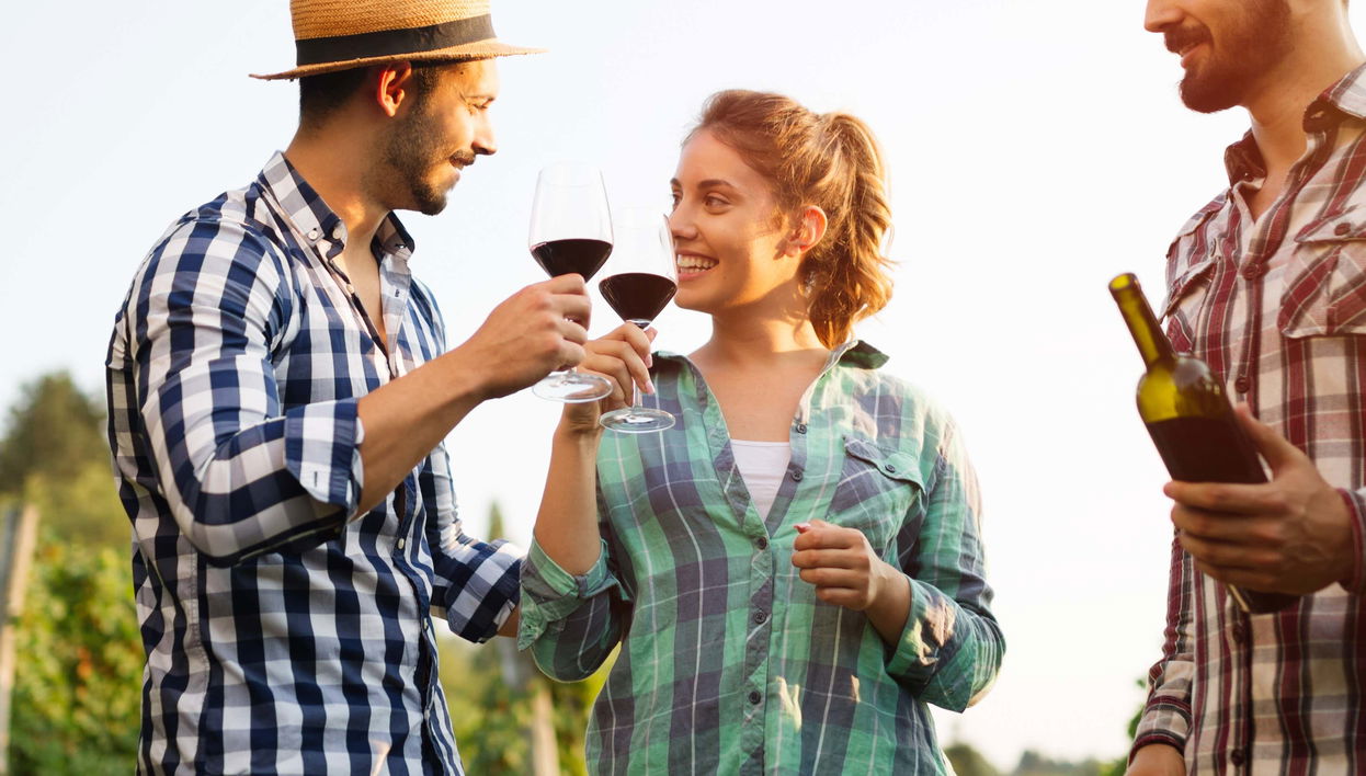 Tour privado de viñedos y bodegas