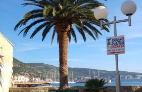 Apartments Frenkie - Photo 51