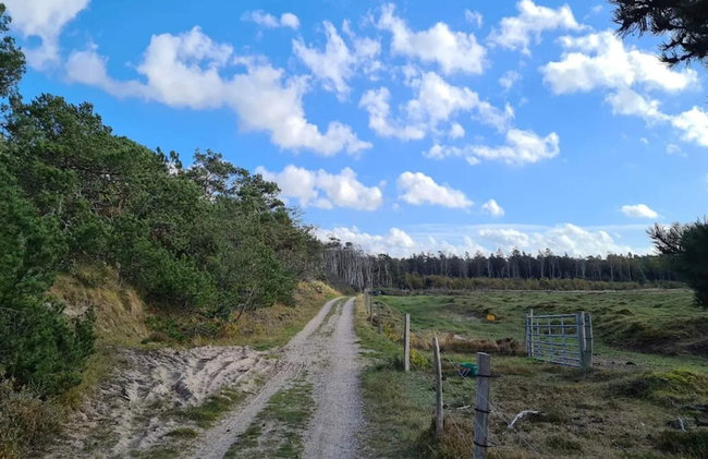 4 Star Holiday Home in Frederiksvaerk - Foto 6