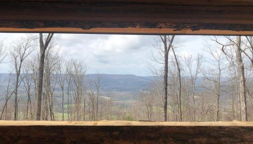 Tree Top View of lookout mountain - Foto 5