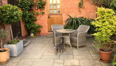 The Burrow - Photo 4