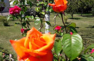 Logis de LANGE apt les Ecureuils - Foto 58