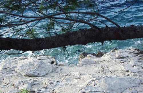 Apartments by the sea Pomena - Mljet - 10426 - Photo 32