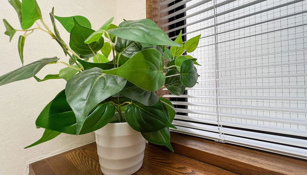 Hondori Inn - Foto 4, Entrada interior