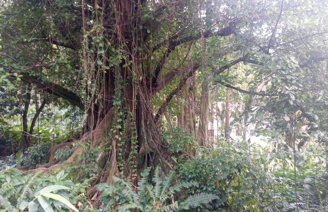 Binks appartments - Photo 25