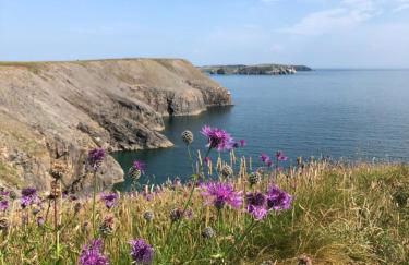 The Chalet @ Giltar Grove Country House - Photo 13