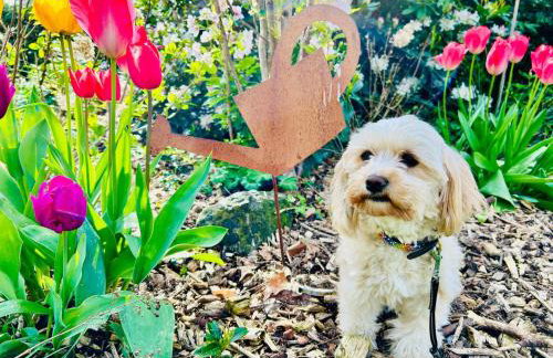 Ferienhof von Hammel - Foto 52