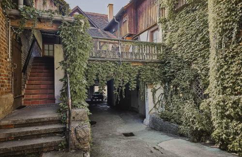 Gast- und Milchhof Franz - Foto 50