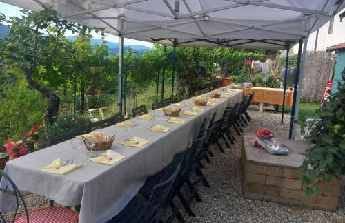 Agriturismo Nonni Devia - Foto 38