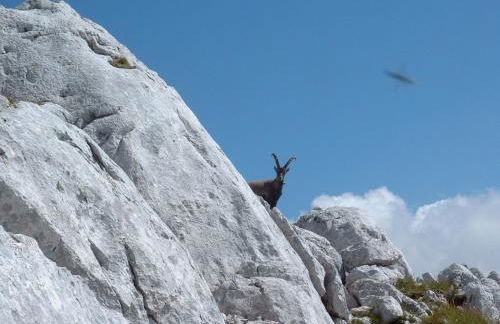 Casa Vacanza CADORNA RESIDENCE - Foto 12