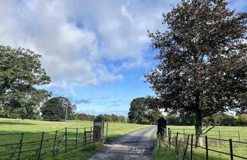 Secluded Pine Lodge 2 - Foto 13