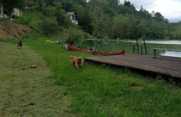 Holiday home Mrežnički šum - Foto 55