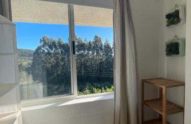 Una parada en el Camino - Foto 17