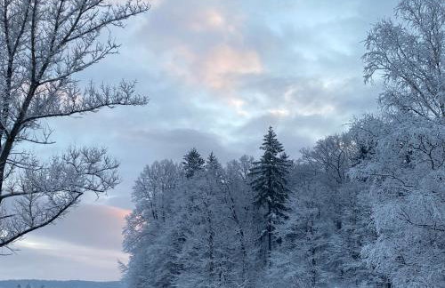 Holiday Hill Karpnki, Domki z sauną, balią i jacuzzi na wyłączność - Foto 23