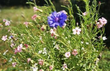 Auszeit im Seenland - Foto 25