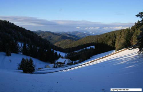 Haus am Waldrand - Foto 24