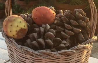 A casa di Maurizio - Foto 15