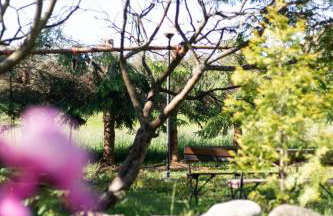 W Sercu Mazur - Foto 33