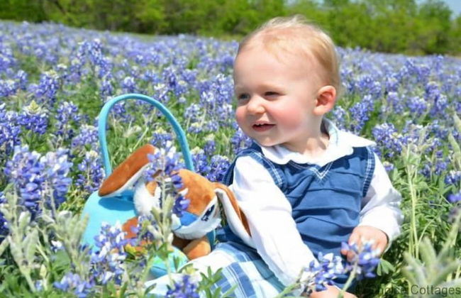 Croyde Moorlea 2 Bedrooms - Photo 23