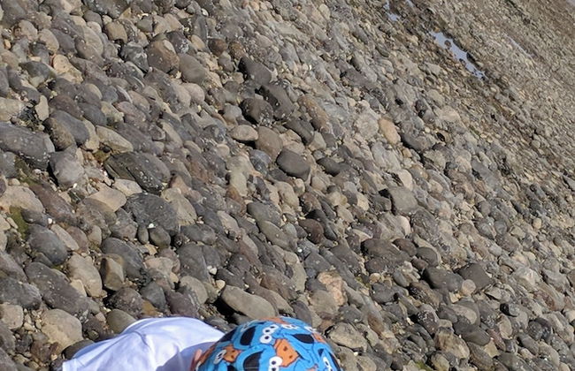 1 Lathom Avenue - Foto 32