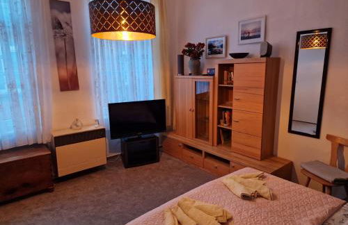 Ferienwohnung auf der Stadtinsel - Foto 10