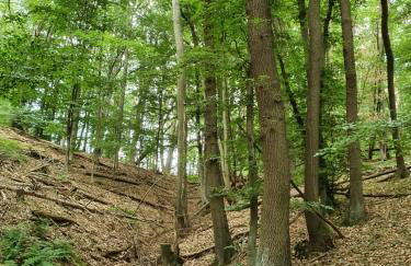 Landleben - Ferienhaus 2 - Foto 30