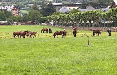 DUPLEX ALPINO - Foto 32