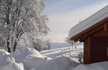 Ferienwohnung Boch Schluchsee - Foto 39