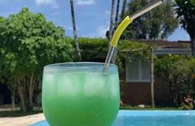 Chalé Flamingo com Piscina Casa inteira em Morretes - Photo 18