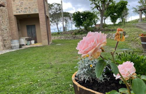 Podere Stabbiatelli - Foto 12