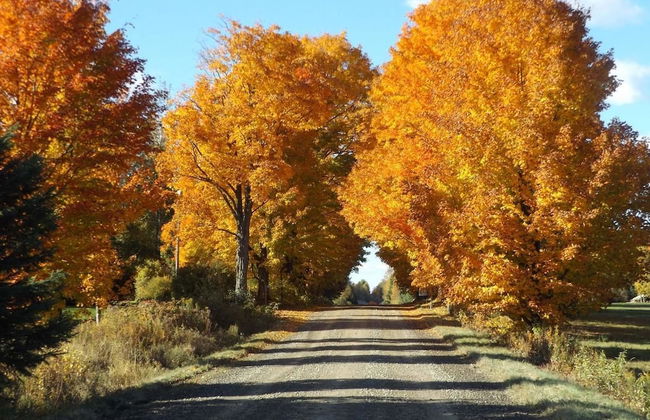 Le Domaine de l'Étang - Photo 17
