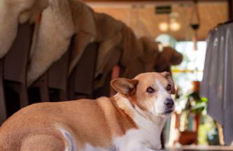 Figueira do Rio do Boi Com Hidromassagem - Foto 24