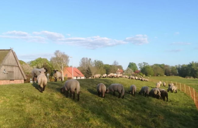 \"the Elf\" Comfortable Holiday Residence - Foto 28