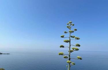 Boni a World of Magic - Foto 15