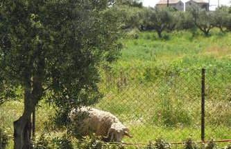 La Familia Luxury Private Maisonettes near the sea - Foto 7