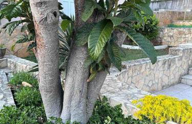 Andrea&Goran - Foto 17