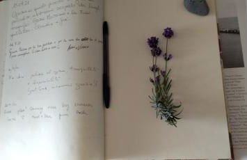 La collina sui trabocchi - Foto 14