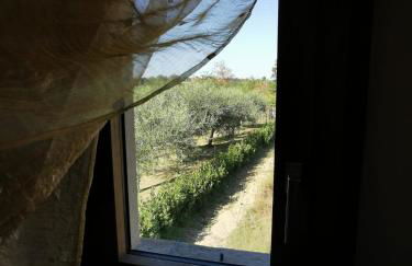 La Casina di Ely - Foto 11