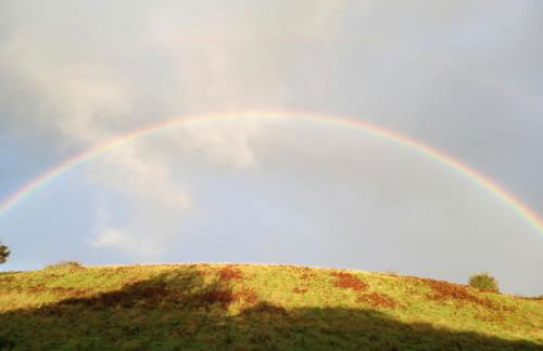 Canad Adar - Song of the Birds - Teifi Valley - Foto 22